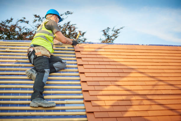 Best Asphalt Shingle Roofing  in Ilchester, MD